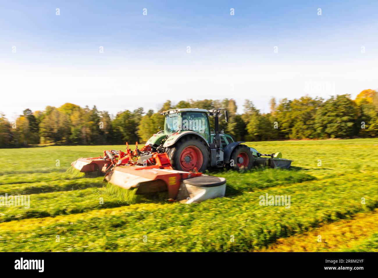 Traktor mäht Gras auf der Wiese Stockfoto