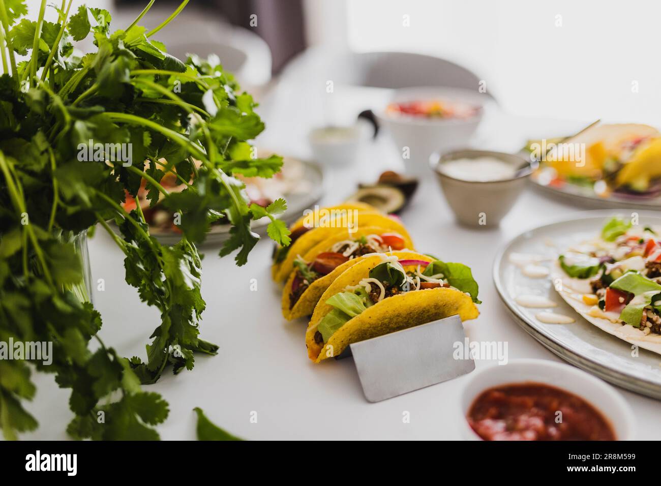 Gesundes Festmahl mit verschiedenen mexikanischen Speisen Stockfoto