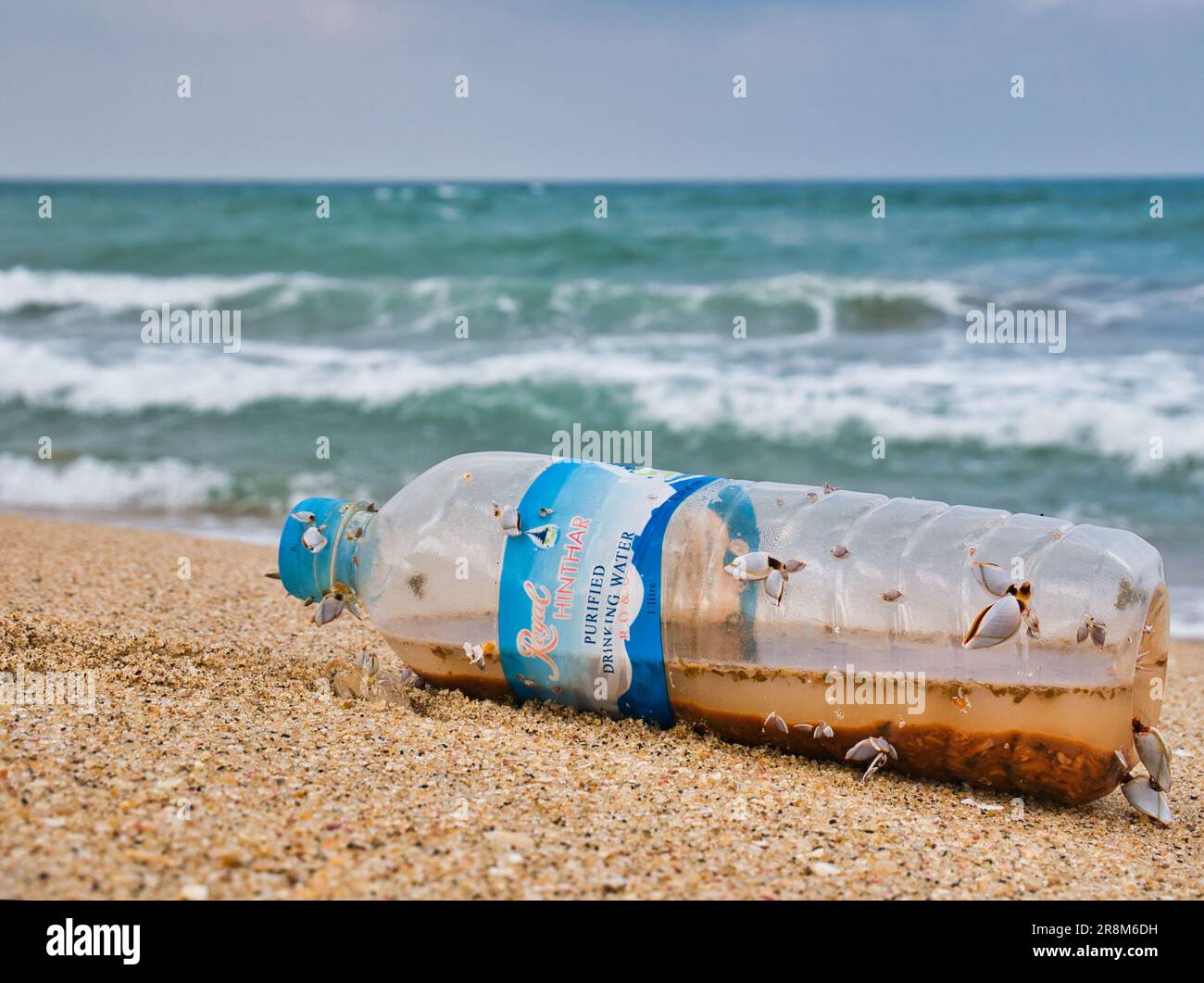 Eine Plastikflasche mit angehängten Schalentieren wurde an einem tropischen Strand angespült. Ein Beispiel für die Meeresplastik-Verschmutzung. Stockfoto