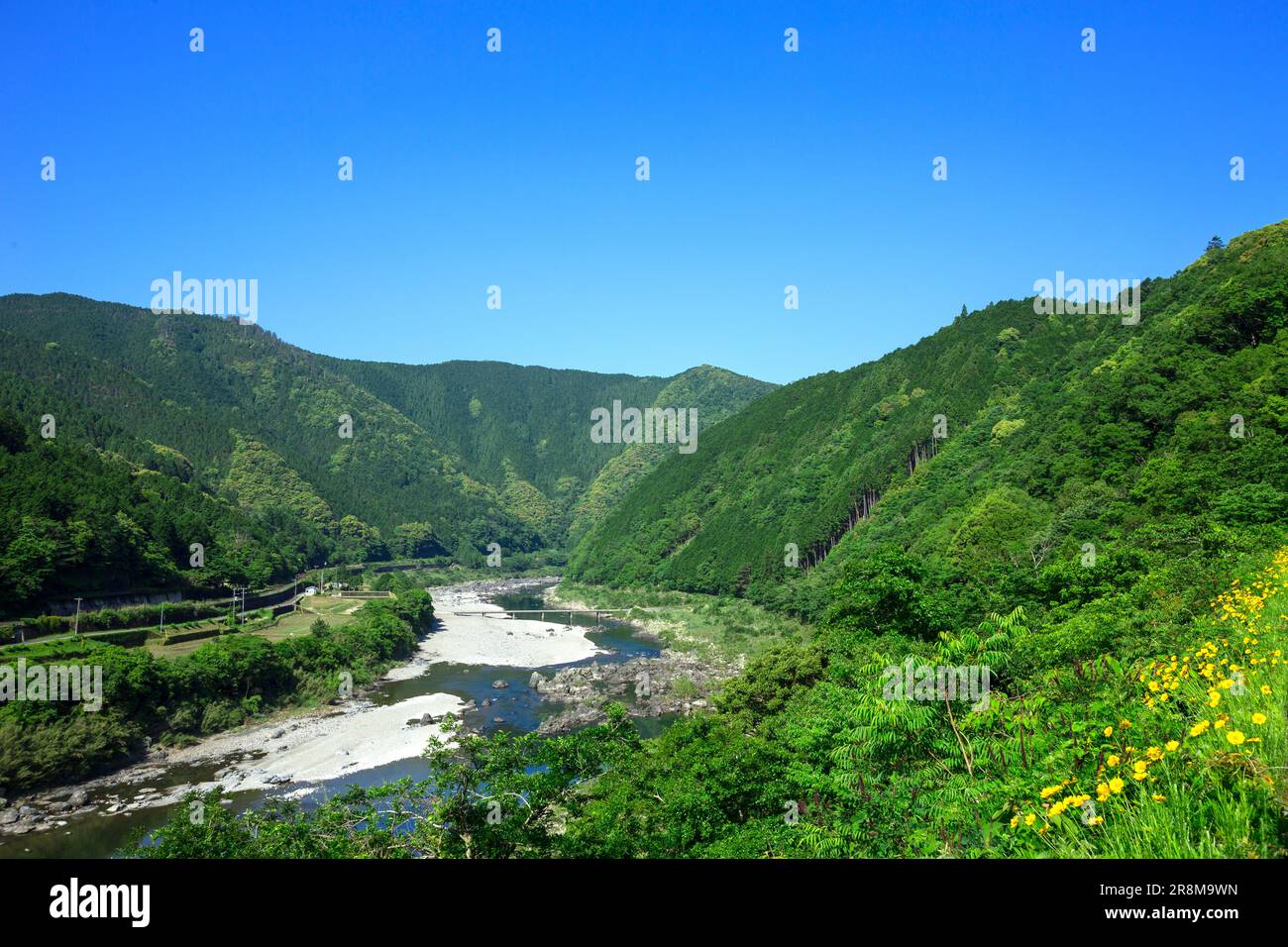 Shimanto River und gesunkene Brücke Stockfoto