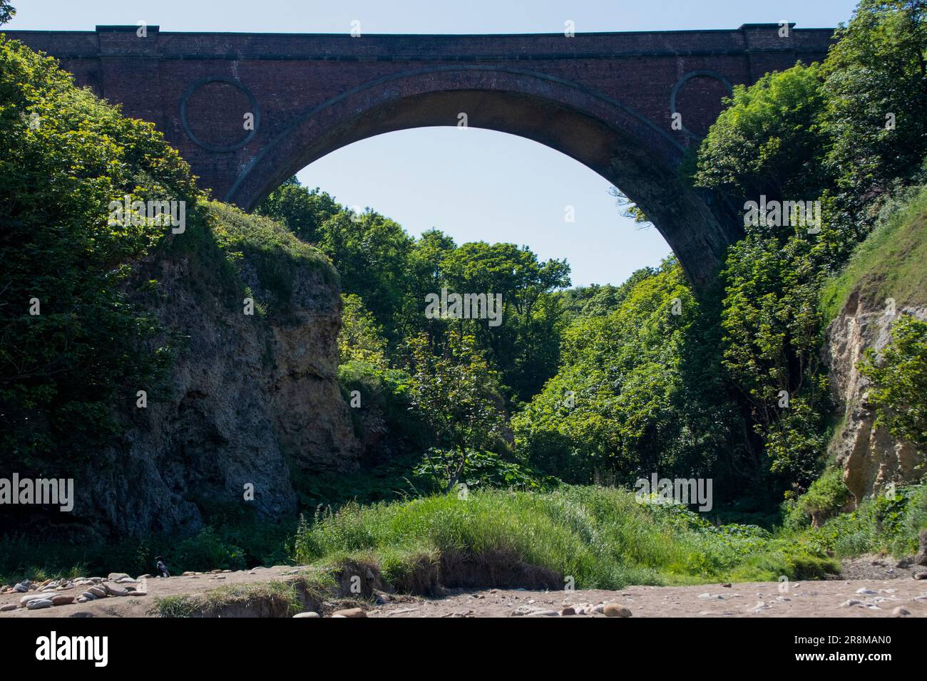 Hawthorn Dene Viadukt an der County Durham Küste Stockfoto