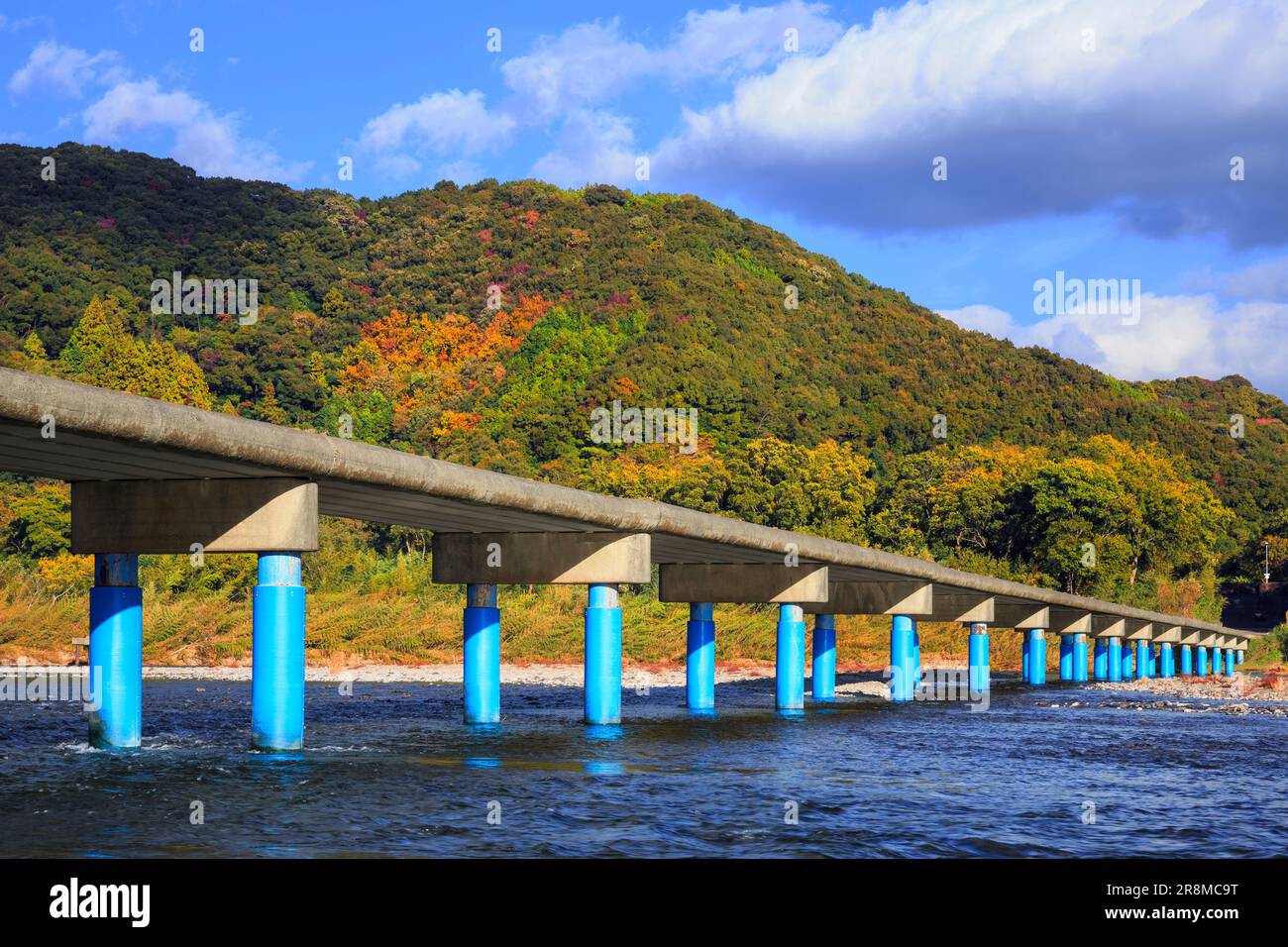 Sada-Tiefwasserüberquerung und Herbstfarben im Shimantogawa River Stockfoto