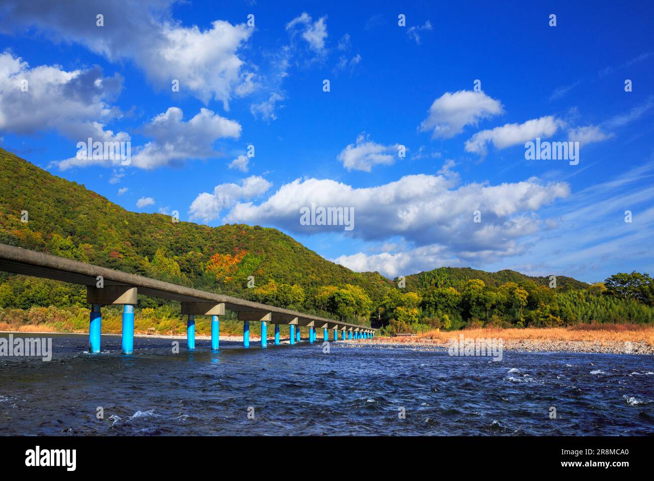 Sada-Tiefwasserüberquerung und Herbstfarben im Shimantogawa River Stockfoto