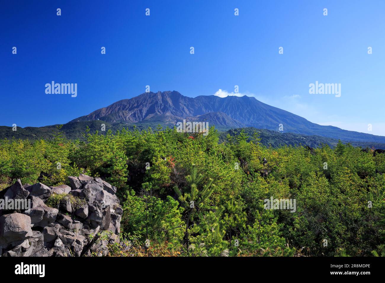 Taisho Lavafeld und Sakurajima von der Karasujima Aussichtsplattform aus gesehen Stockfoto