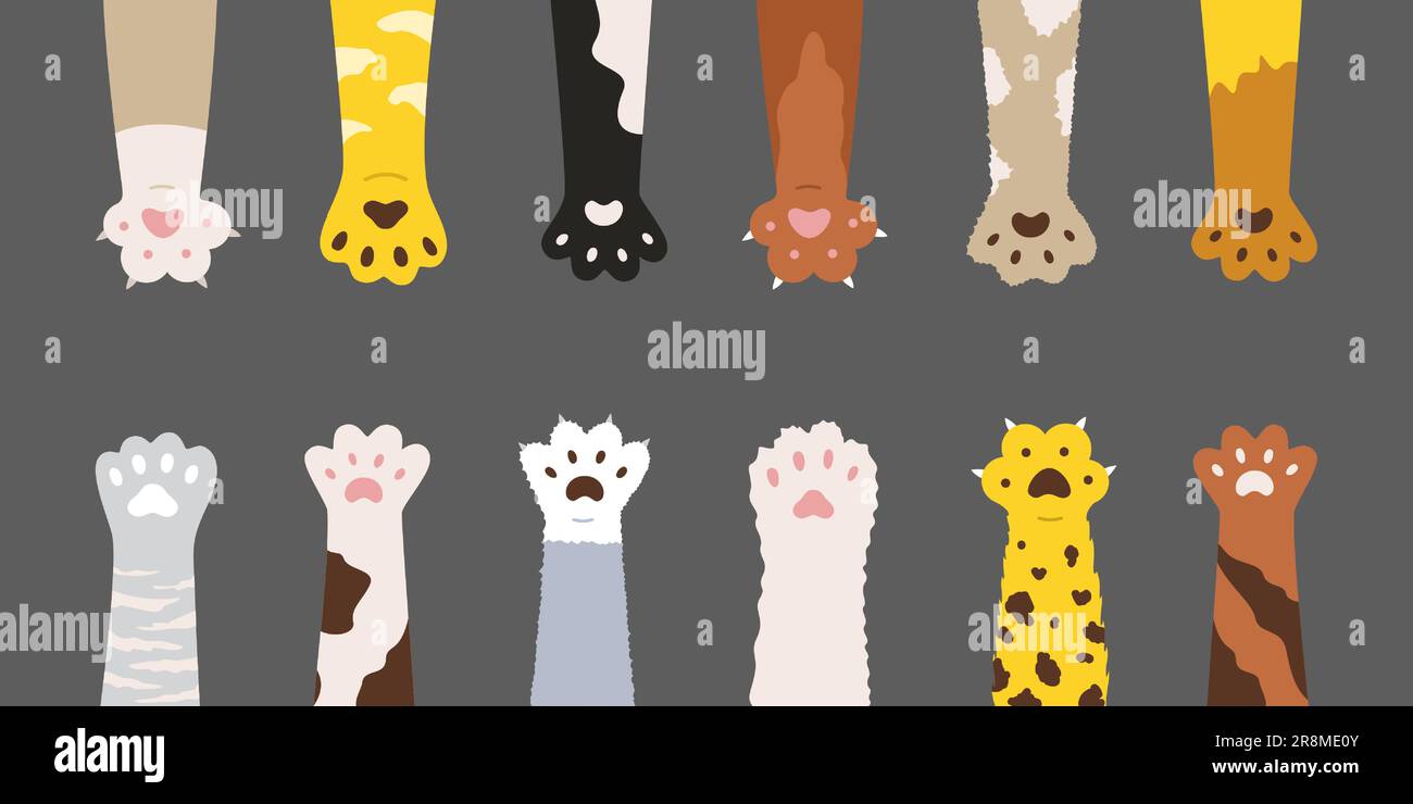 Flauschige bunten Katzenpfoten Set Stock Vektor