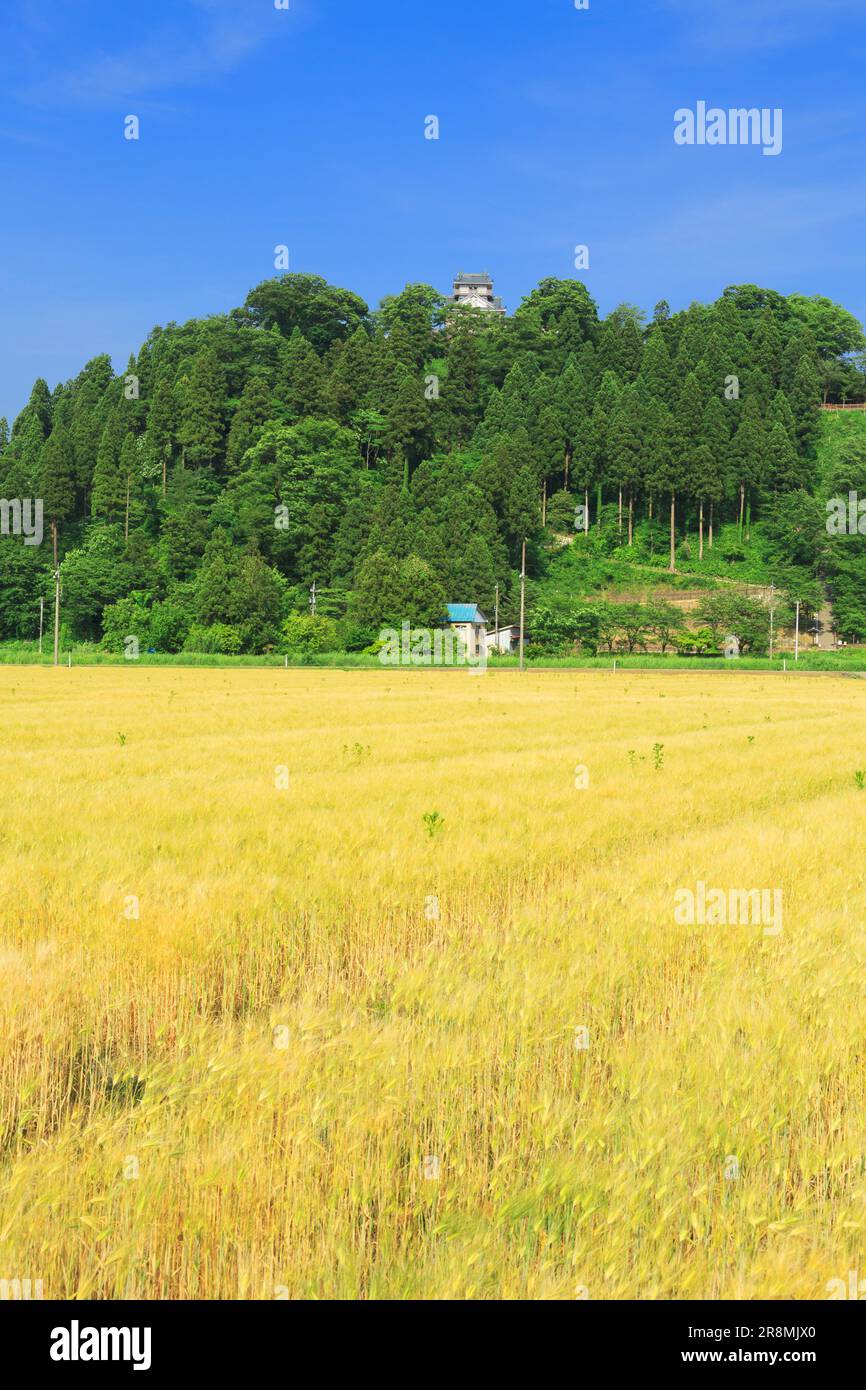 Reisburg -Fotos und -Bildmaterial in hoher Auflösung – Alamy