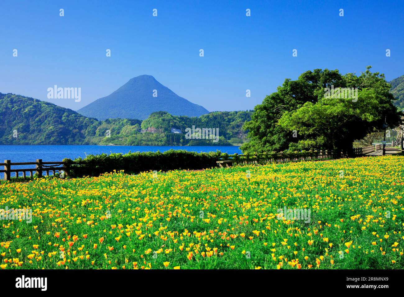 Ikeda-See und Kaimondake-Berg Stockfoto