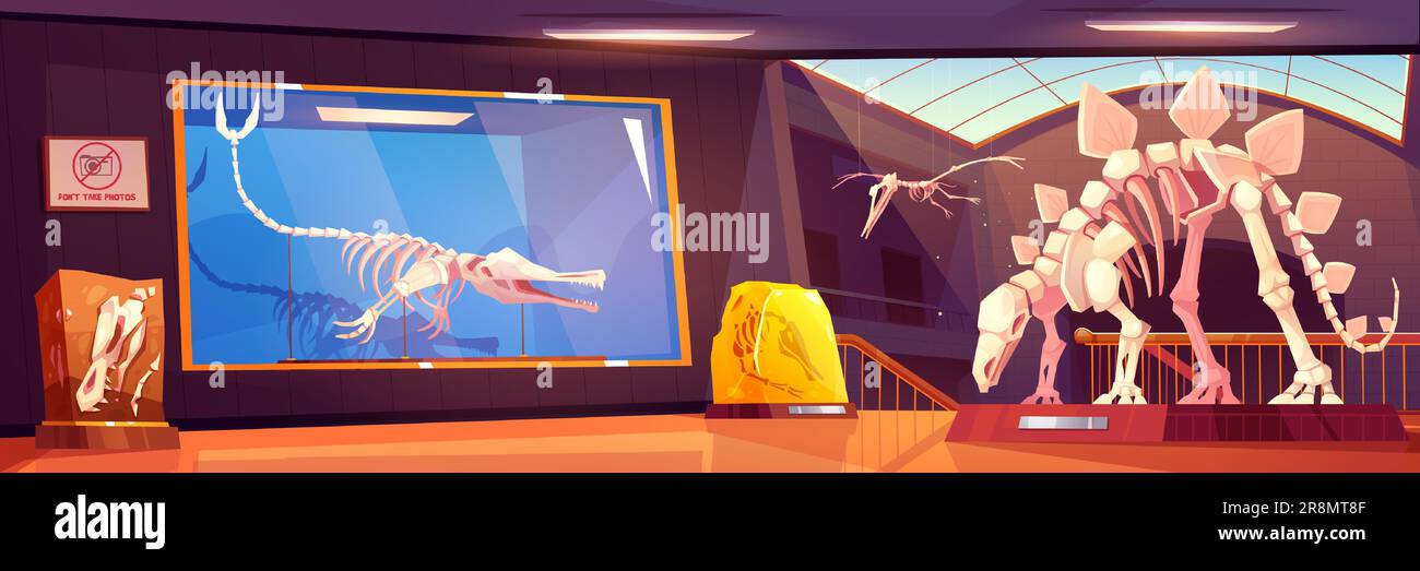 Cartoon-Museumsraum mit Dinosaurierskeletten und Fossiliensteinen. Vektordarstellung der beleuchteten Halle mit archäologischen Ausstellungen auf Ständen, uralten Felsen mit prähistorischen Abdrücken, Dino-Schädeln, Knochen Stock Vektor