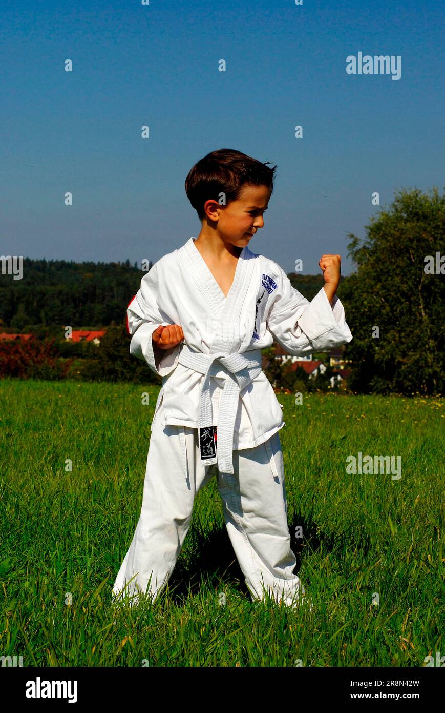 Der Junge übt Karate, Karate, Schüler, Lehrer, Kampfsport Stockfoto