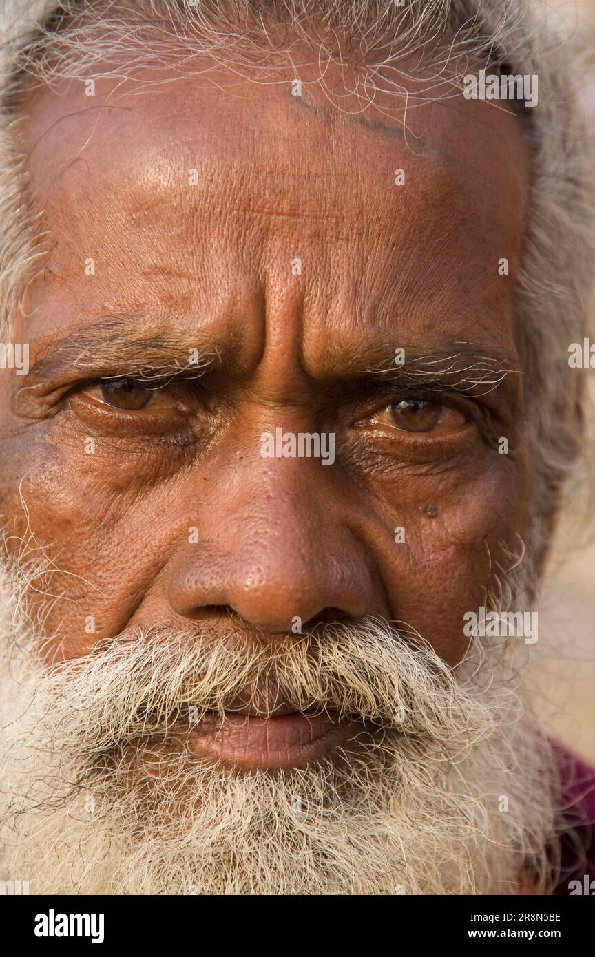 Sadhu, Varanasi, Benares, Uttar Pradesh, Indien, Heiliger Mann Stockfoto