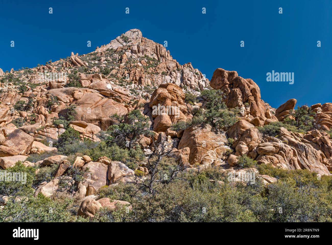 Granitfelsformationen im Caruthers Canyon, in den New York Mountains, im Mojave National Preserve, Kalifornien, USA Stockfoto