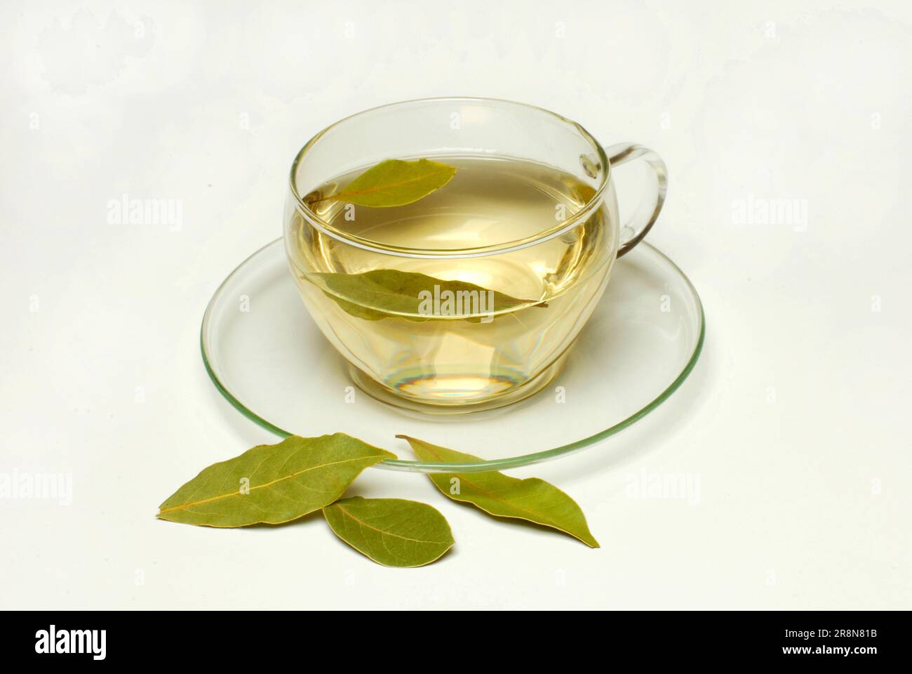 Tasse Lorbeertee (Lauraceae), Lorbeertee, Lorbeertee, Lorbeertee,  Lorbeerblätter Stockfotografie - Alamy