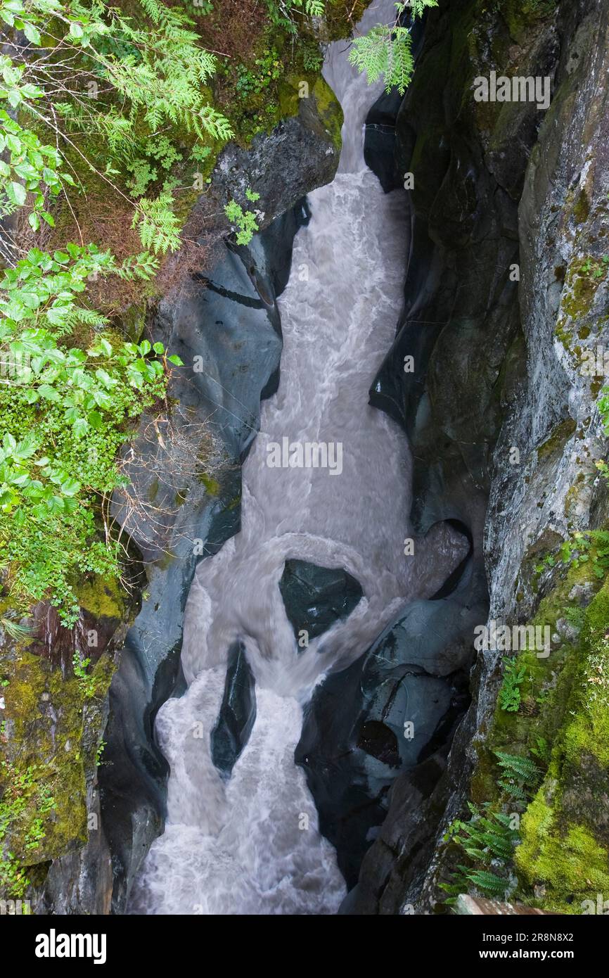 Box Canyon, Mount Rainier Nationalpark, Washington, USA Stockfoto