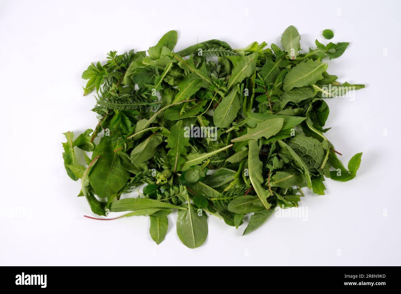 Wildes Gemüse mit Löwenzahn, Sorrel, Schafgarbe, Wiesenkopf, wildem Gemüse, Löwenzahn Stockfoto