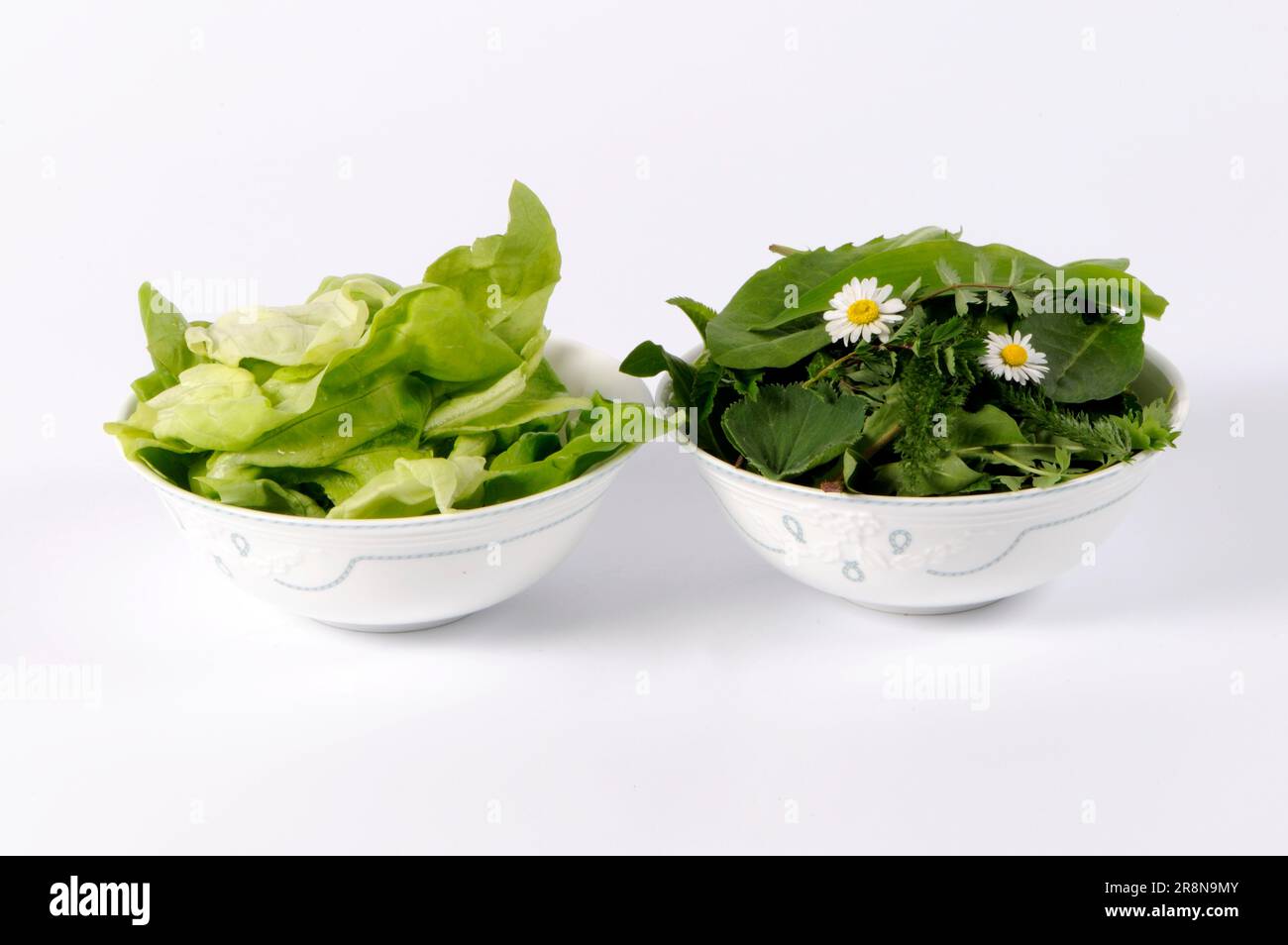 Wildes Gemüse mit Löwenzahn, Sorrel, Schafgarbe, Wiesenkopf, im Vergleich zu Salat, Wildes Gemüse, Löwenzahn Stockfoto