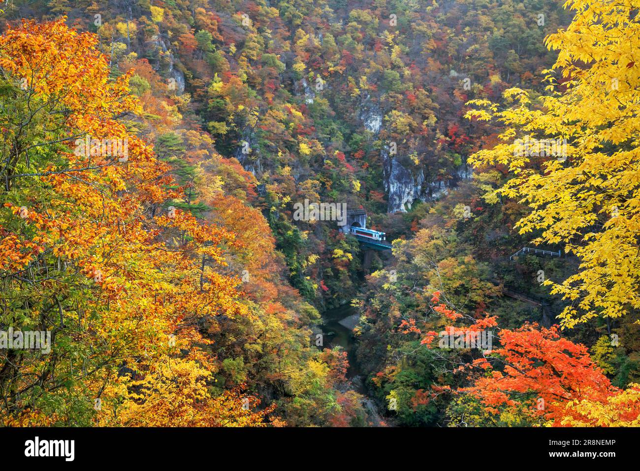 Herbstlaub in der Naruko-Schlucht Stockfoto