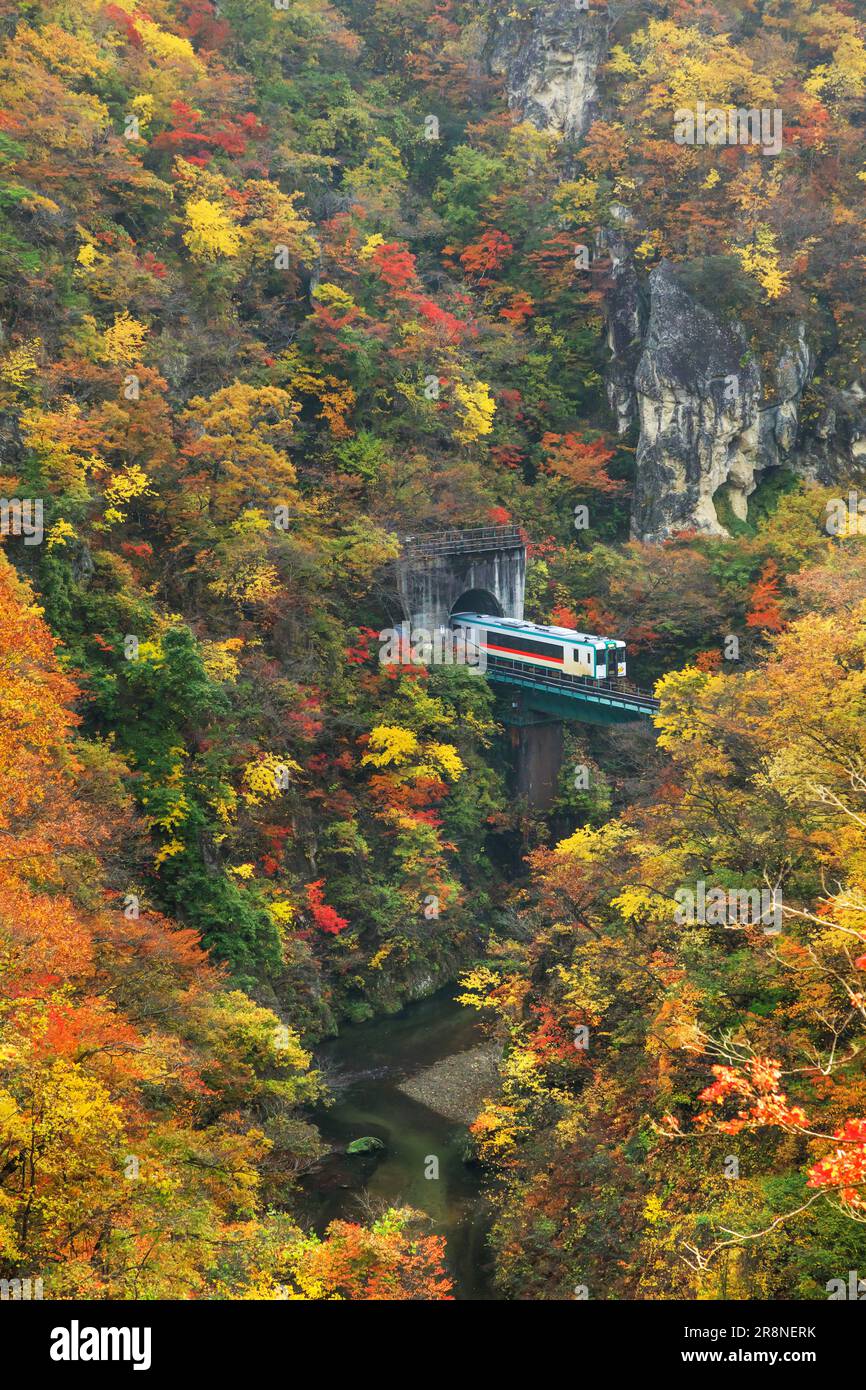 Herbstlaub in der Naruko-Schlucht Stockfoto