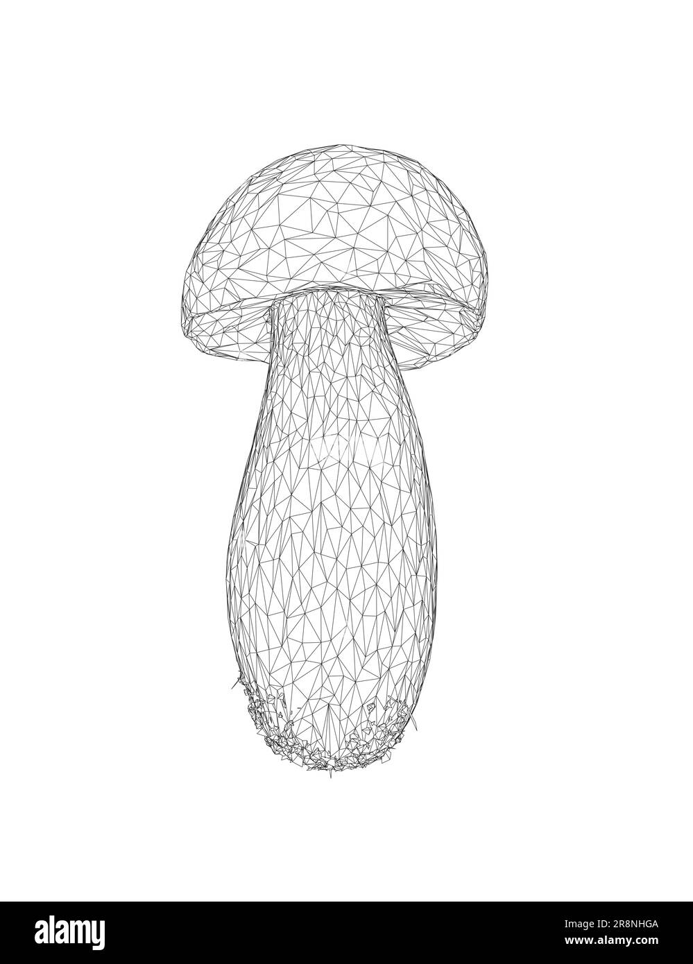 Drahtmodell Champignon Pilze Vektorzeichnung, Krötenhocker, Fliegenhocker, weißer Krötenhocker, Drahtmodell-Pilze isoliert auf weißem Hintergrund. Stock Vektor