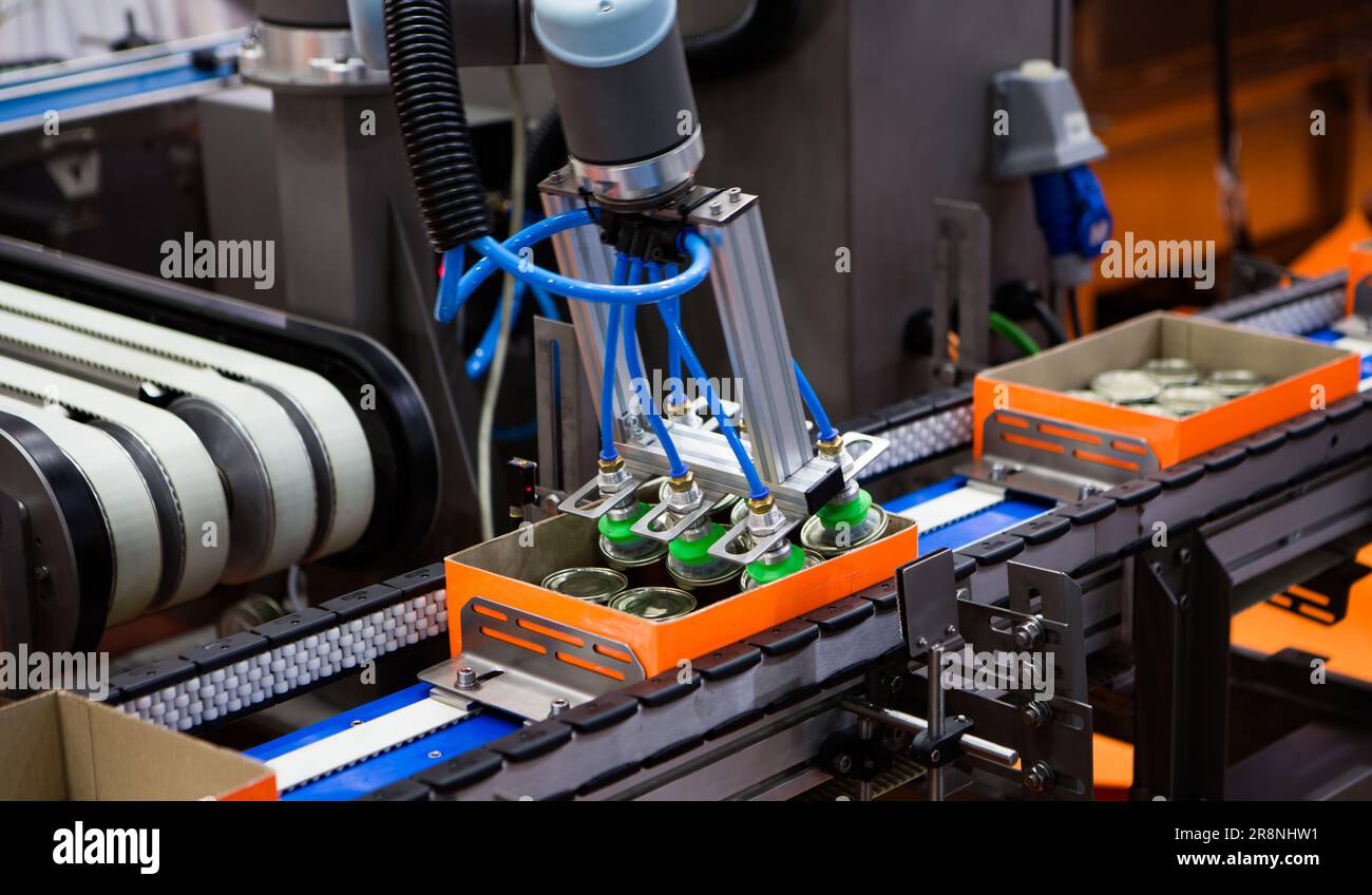 Automatisierter Roboterarm zum Anheben von Lebensmittelkannen zum Förderband in der Lebensmittelindustrie. Stockfoto
