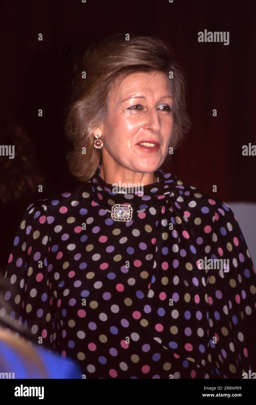 12. Oktober 1991. Prinzessin Alexandra im Royal Yeomanry 1991 Photo by the Henshaw Archive Stockfoto