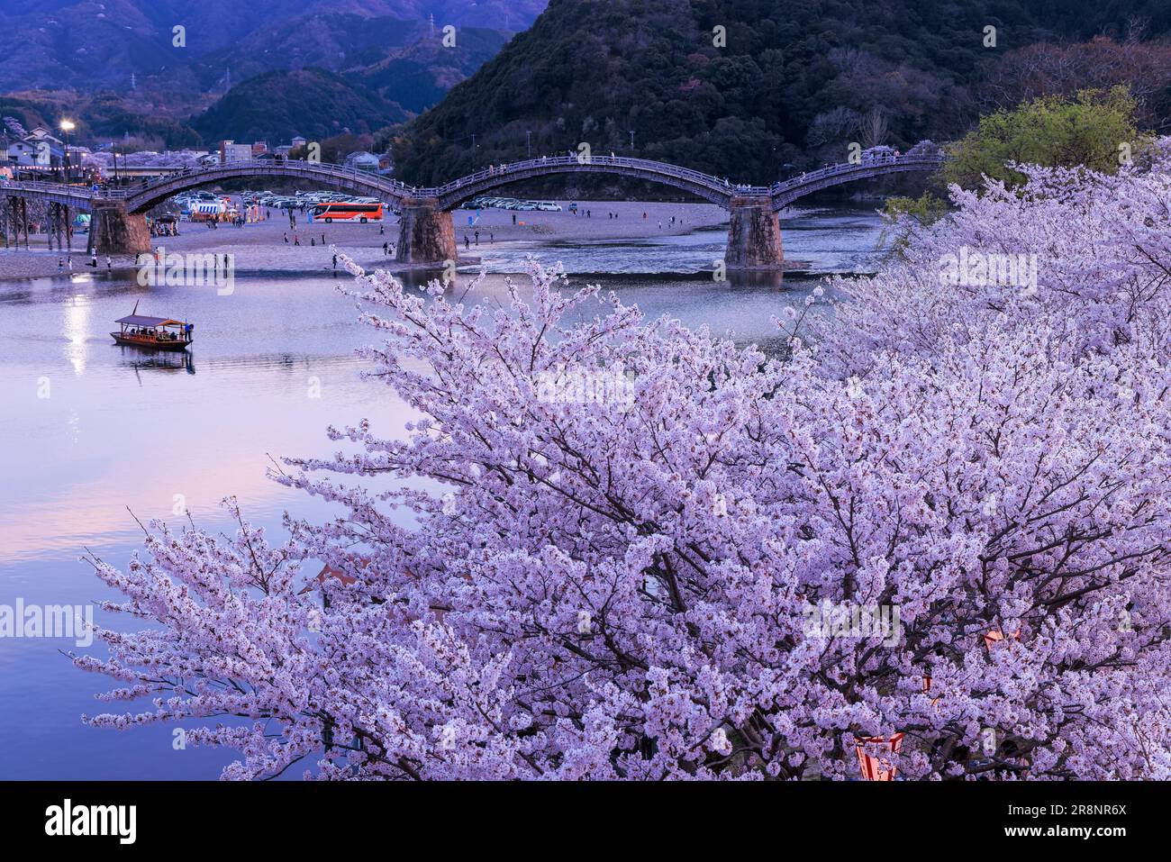 Kintai-bashi-Brücke und Kirschblüten Stockfoto