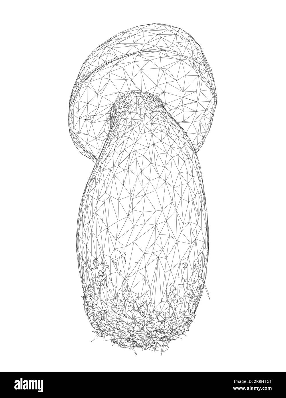 Drahtmodell Champignon Pilze Vektorzeichnung, Krötenhocker, Fliegenhocker, weißer Krötenhocker, Drahtmodell-Pilze isoliert auf weißem Hintergrund. Stock Vektor