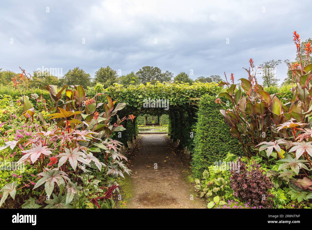 Das natürliche Tor durchschneidet die hohe Hecke mit Ricinus communis, der Rizinusbohnen-Pflanze und Canna indica, indianischer Schützpflanze im Vordergrund. Stockfoto