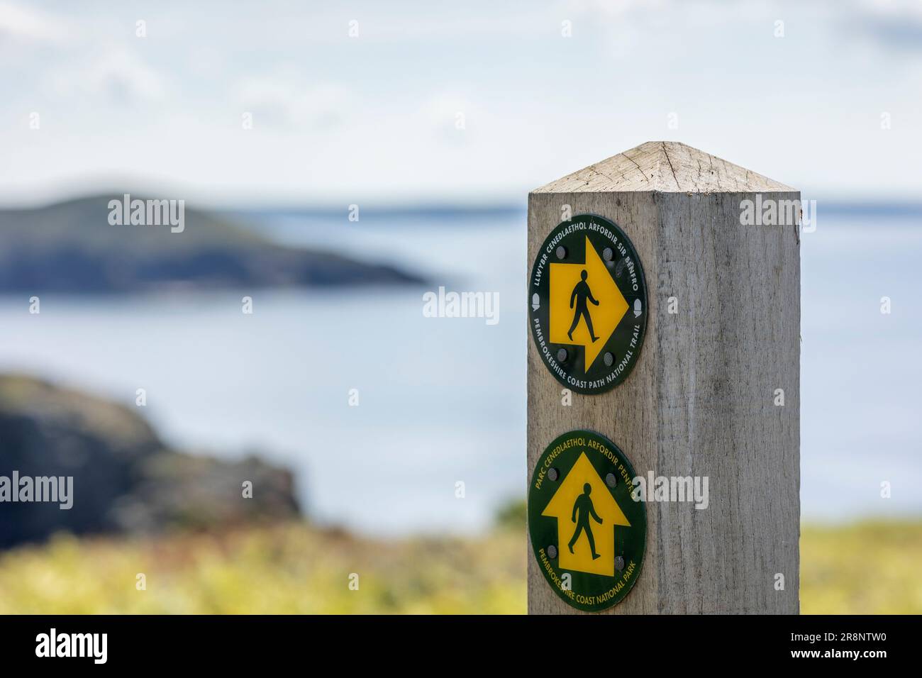 Pembrokeshire Coast Path National Trail Fußweg Schild Pembrokeshire Stockfoto