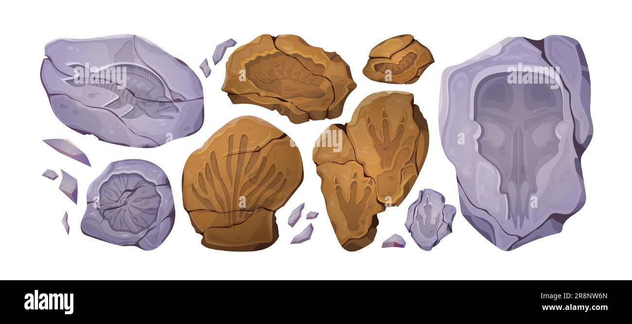 Karikaturenset aus fossilen Steinen mit prähistorischen Tier- und Pflanzenabdrücken. Vektordarstellung antiker Felsen mit Dinosaurierspuren, Fischen, Muscheln, Mammutschädelabdrücken. Archäologische Museumsausstellungen Stock Vektor Karikaturenset aus fossilen Steinen mit prähistorischen Tier- und Pflanzenabdrücken. Vektordarstellung antiker Felsen mit Dinosaurierspuren, Fischen, Muscheln, Mammutschädelabdrücken. Archäologische Museumsausstellungen Stock Vektor
