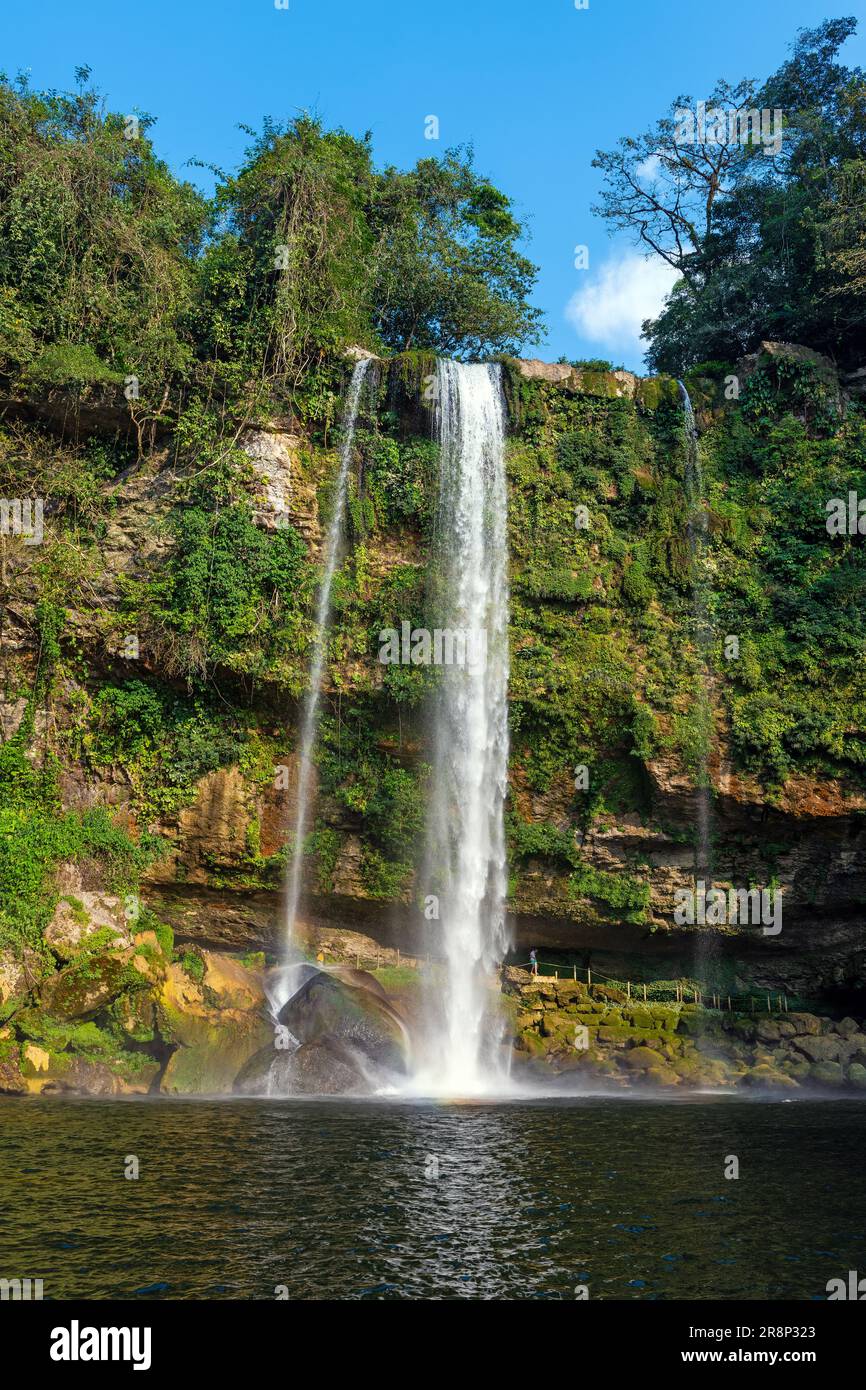 Misol Ha Wasserfall, Chiapas, Mexiko. Stockfoto