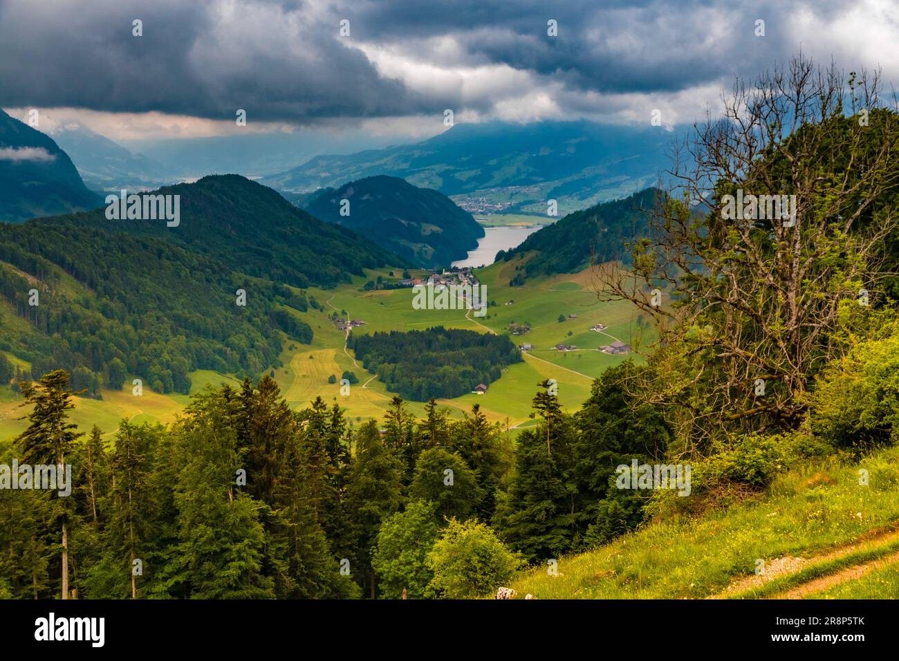 Atemberaubende Aussicht vom Bürgenstock Gipfel Hammetschwand bis hinunter zum Obbürgen Hochtal und Vierwaldstättersee. Stockfoto