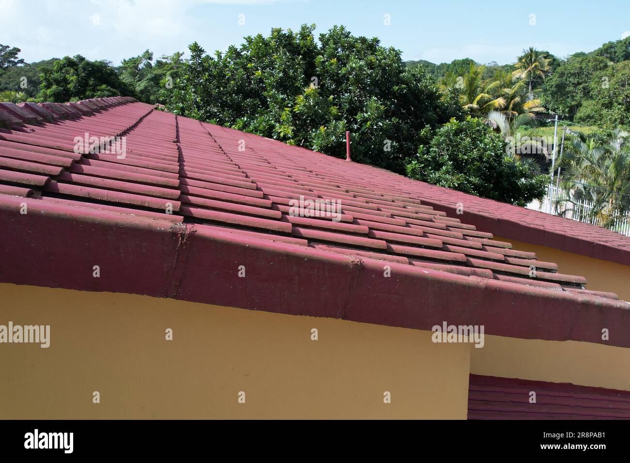 Rote Tonfliesen im Haus auf grünem Blatthintergrund Stockfoto