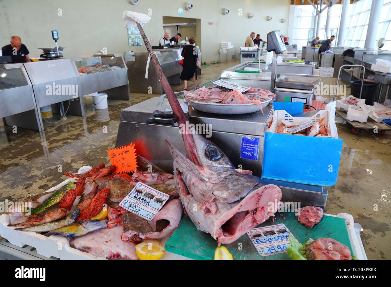 ALGHERO, ITALIEN - 29. MAI 2023: Fischprodukte und massiver Schwertfisch auf dem lokalen Fischmarkt in Alghero, Insel Sardinien, Italien. Stockfoto
