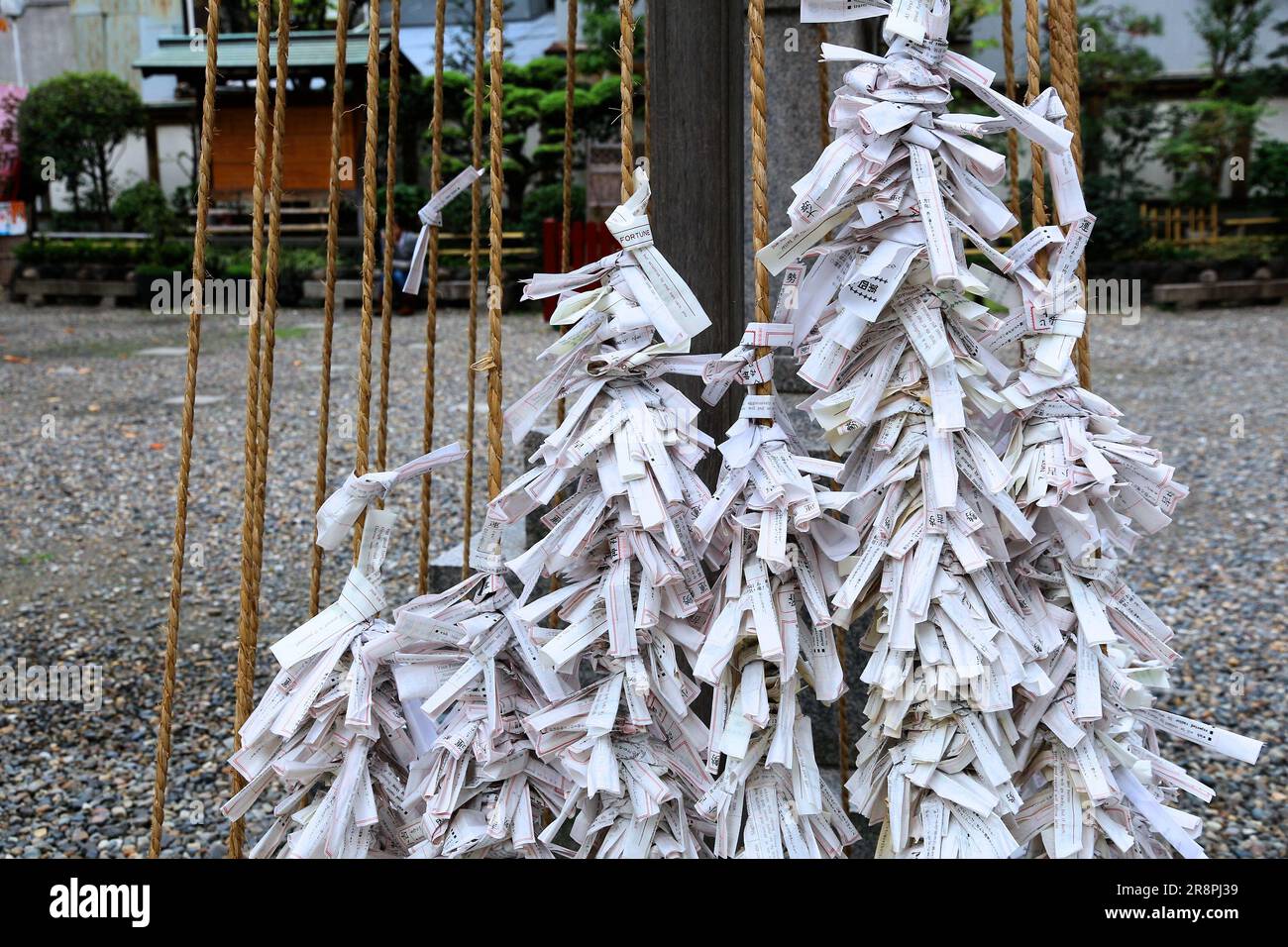 OSAKA, JAPAN - 22. NOVEMBER 2016: Omikuji-Papiergeschichten in Verbindung mit Streicher im Schrein Tsuyunoten Jinja (Ohatsu Tenjin) im Viertel Sonezaki, Osaka. Stockfoto