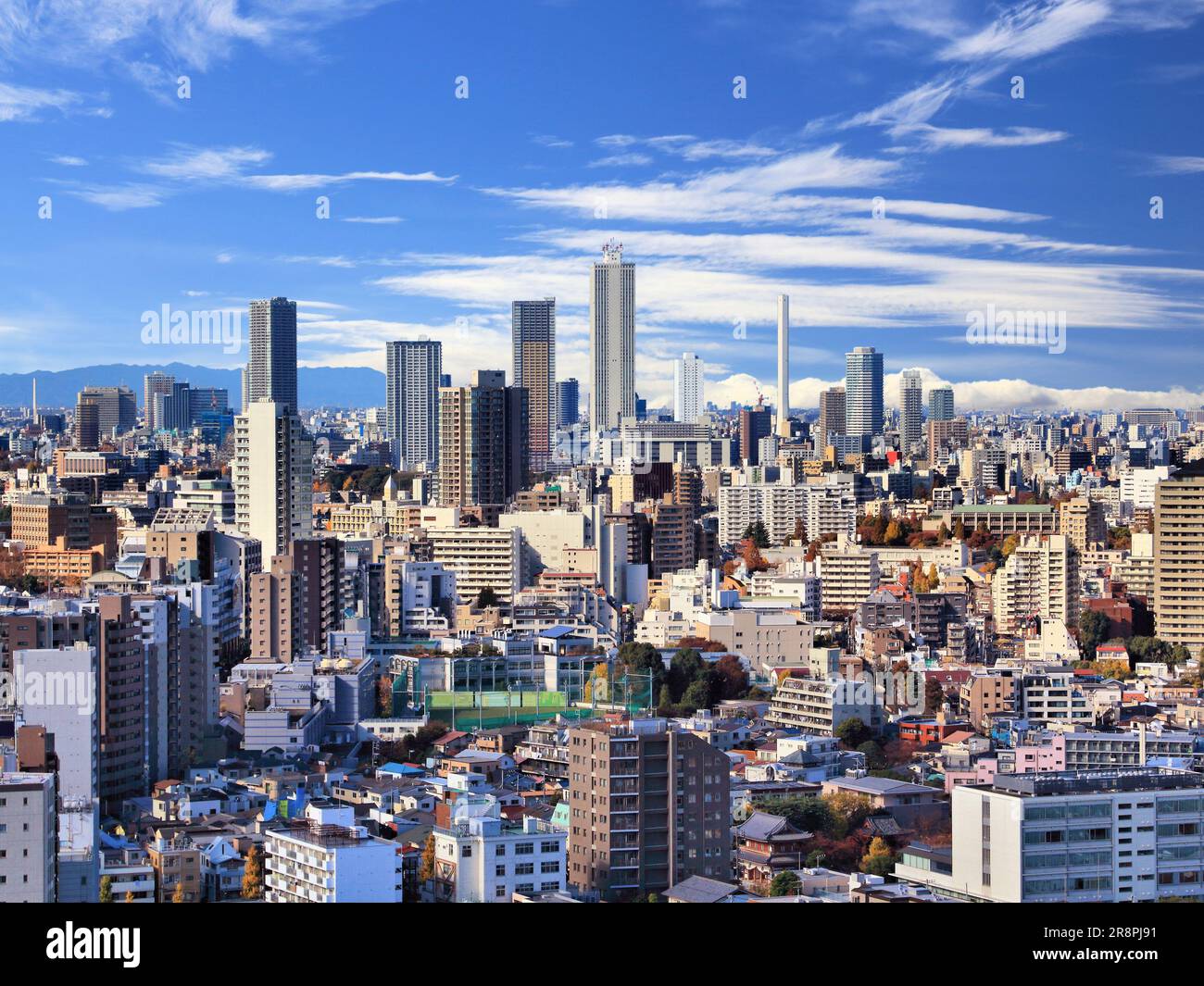 Blick auf die Stadt Tokio mit dem Stadtteil Koishikawa (Bunkyo ward) und der Skyline von Ikebukuro (Toshima ward). Tokio, Japan. Stockfoto