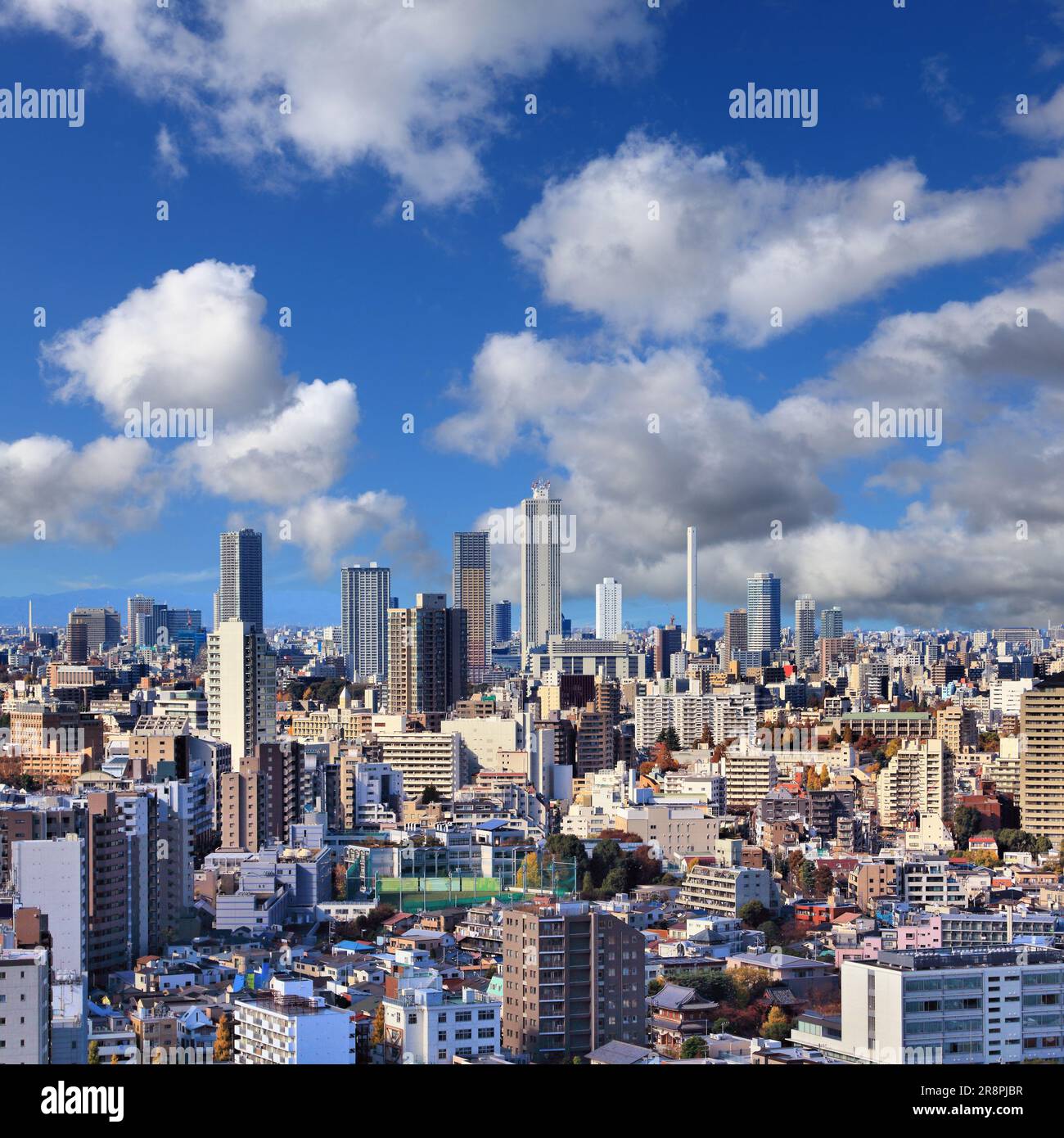 Blick auf die Stadt Tokio mit dem Stadtteil Koishikawa (Bezirk Bunkyo) und der Skyline von Ikebukuro (Bezirk Toshima). Tokio, Japan. Stockfoto