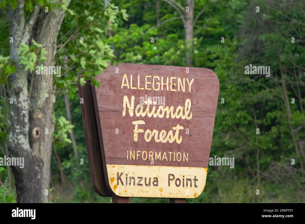 Allegheny National Forest Kinzua Point, Copy Space Reiseziel Pa USA Stockfoto
