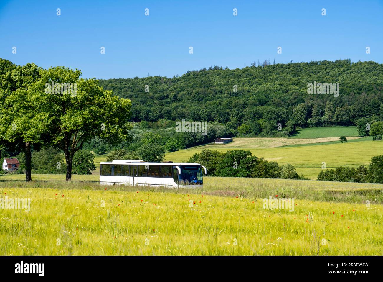 Landstraße zwischen Hirschberg und Warstein, örtlicher Bus, öffentliche Verkehrsmittel, Busverkehr, Sauerland, NRW, Deutschland Stockfoto