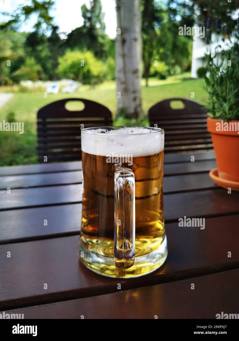 Im Sommer steht ein großes halbes Liter Bier auf einem Tisch in einem Biergarten. Im Hintergrund ist die Natur grün. Stockfoto