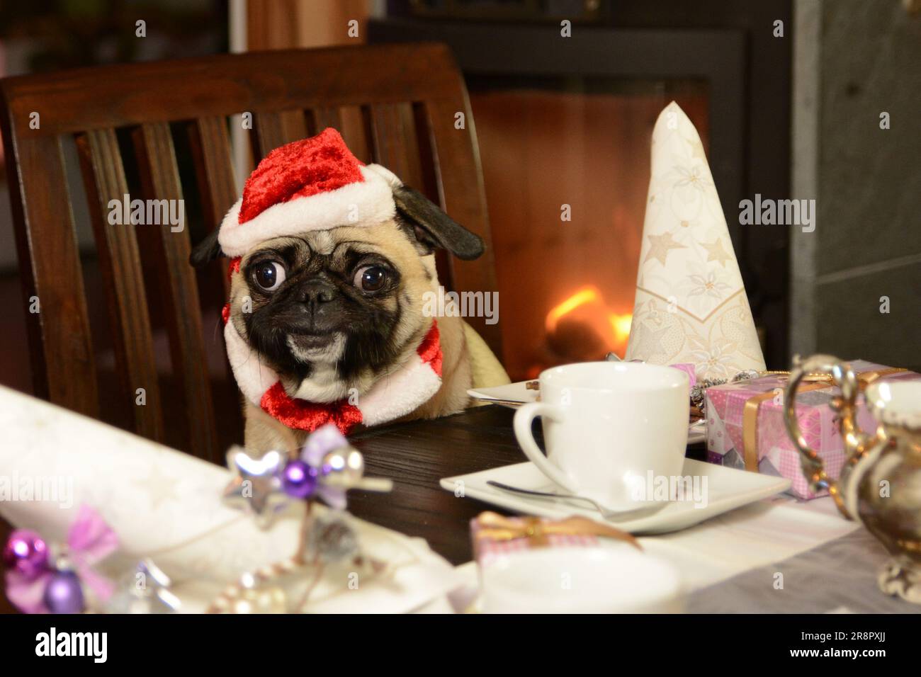 Ein junger Klugscheißer sitzt an einem Couchtisch mit einer Weihnachtsmann-Mütze. Er lächelt. Der Tisch ist zu Weihnachten dekoriert. Ein Kamin brennt im Ba Stockfoto