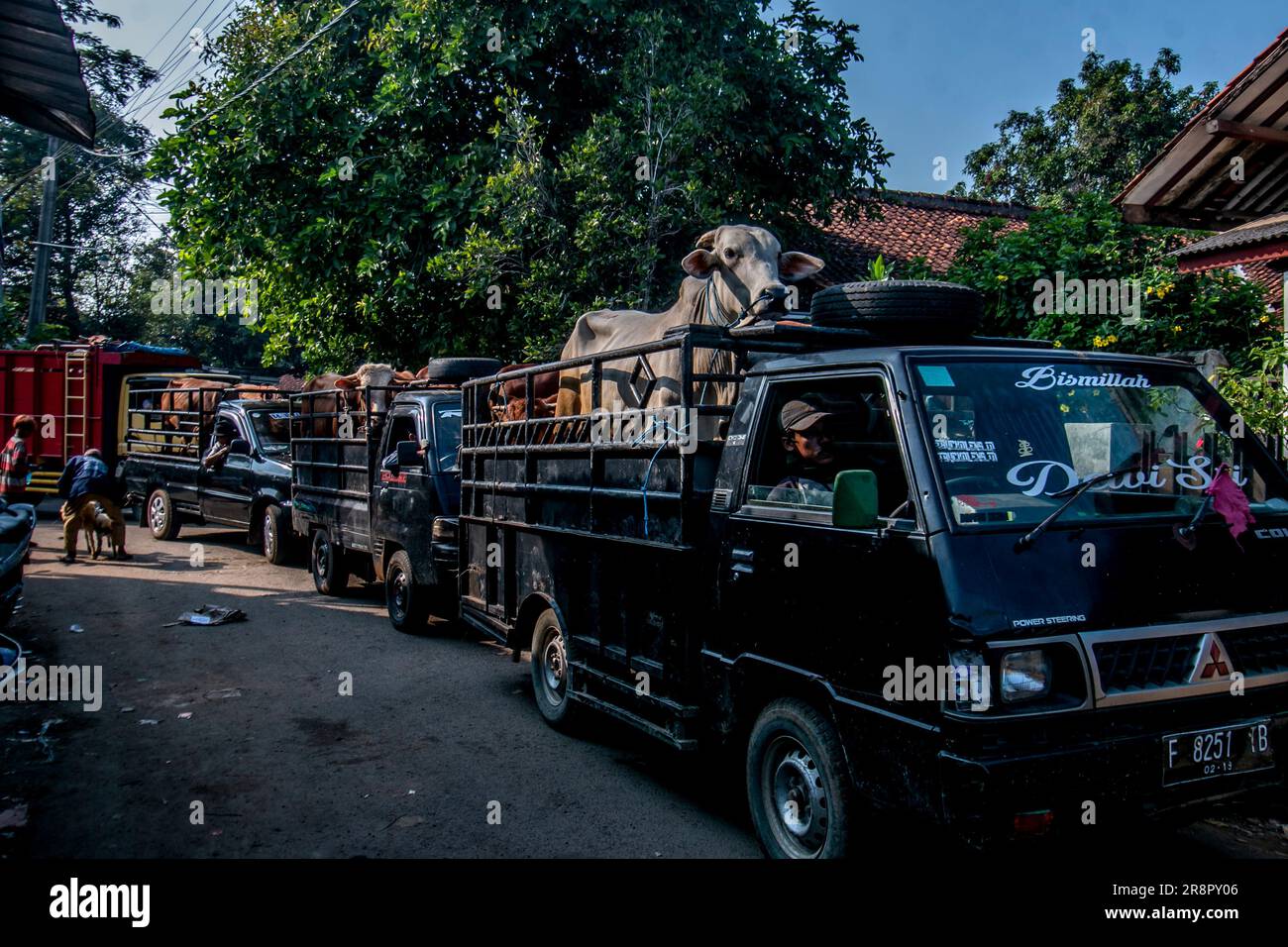 Menschen nehmen ein Opfertier in einem Truck mit nach Hause, vor dem muslimischen Festival von Eid al-Adha in Jonggol, Bogor Regency, West Java, Indonesien am 22. Juni 2023. Auf der Grundlage von Daten der Viehhändler wurden über 900 Kühe, 700 Ziegen und 600 Schafe auf dem größten Viehmarkt in West-Java verkauft. Eid al-Adha ist einer der heiligsten Moslems-Feiertage des Jahres. Es ist die jährliche muslimische Pilgerfahrt, bekannt als Hajj, um Mekka zu besuchen. Während Eid al-Adha schlachten Muslime Ziegen, Schafe und Rinder ab, um der Bereitschaft des Propheten Abraham zu gedenken, seinen Sohn zu opfern, um Gottes Gehorsam zu zeigen. Sie haben mich geteilt Stockfoto