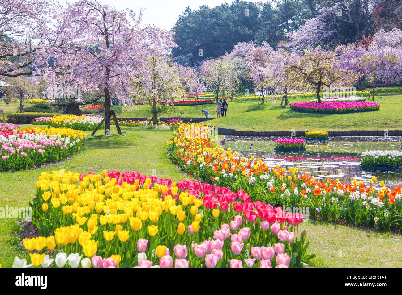 Hamamatsu Blumenpark Stockfoto