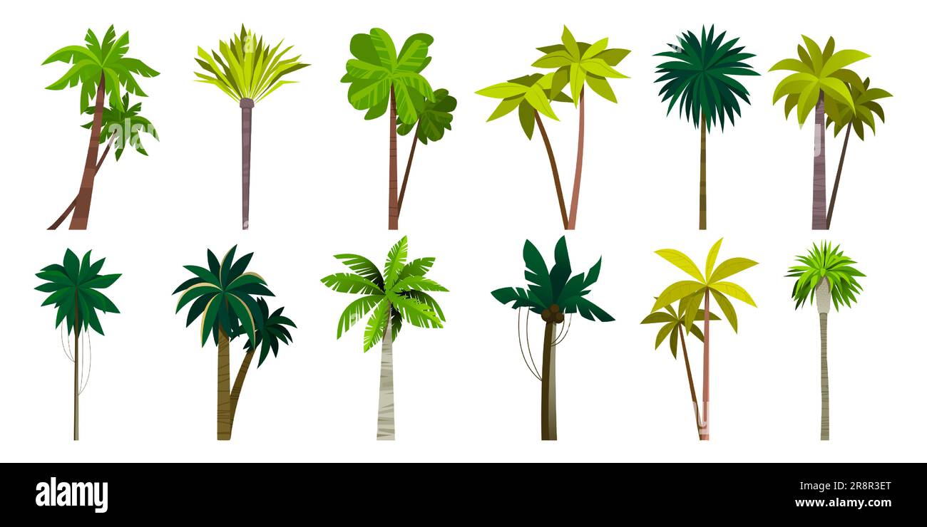 Palmensammlung. Cartoon tropische Kokosnuss- und Bananenpflanze, exotische Inselbäume, Blumenbusch an der Meeresküste. Vektorisoliertes Set Kokosnusspalmenillus Stock Vektor