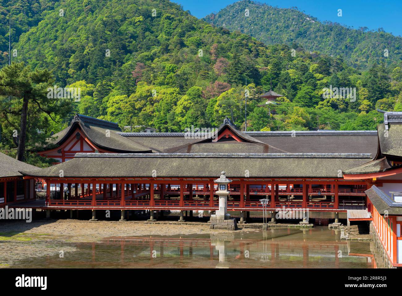 Itsukushima-Schrein und zwei geschossige Pagoden auf der Insel Miyajima Stockfoto