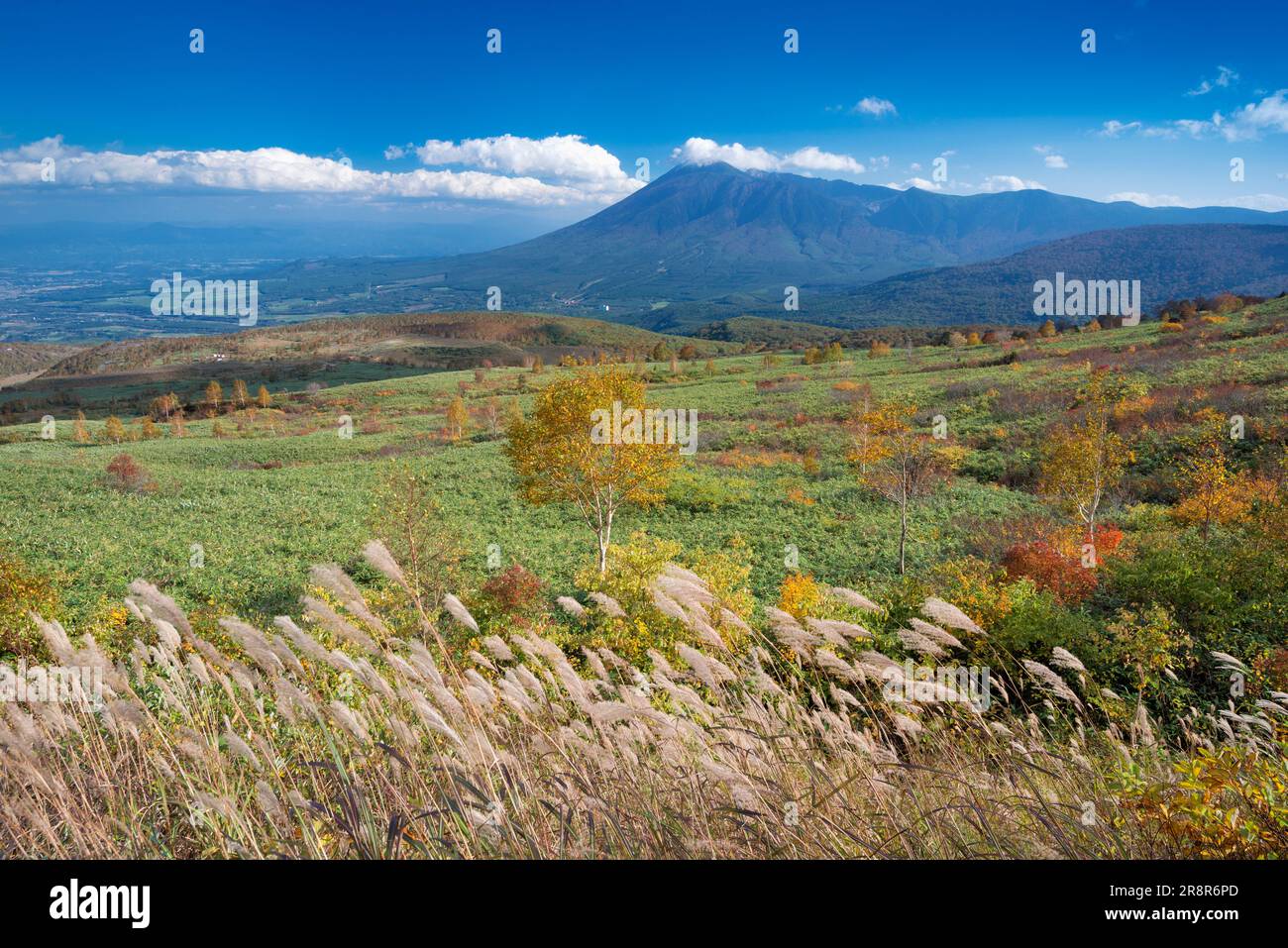 Berg Iwateyama und Farbenblätter aus Hachimantai Stockfoto