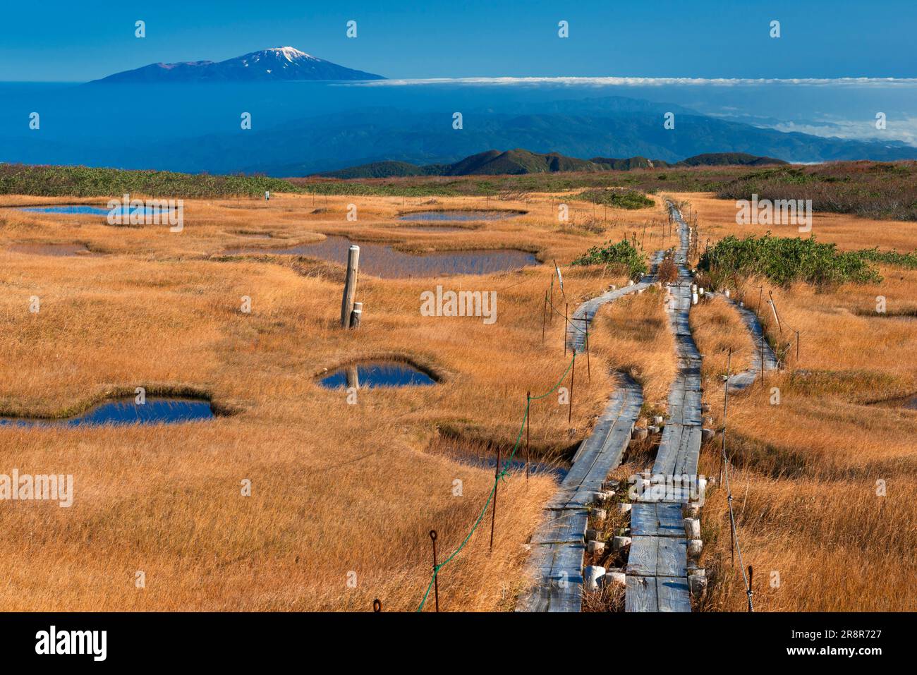 Herbst Gassan Midagaharashitsugenn und Mount Chokaizan Stockfoto