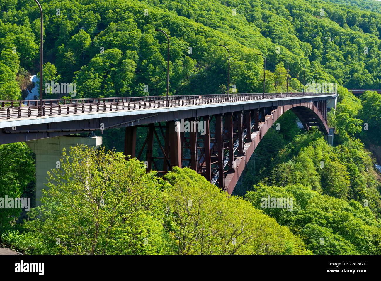 Jogakura-Ohashi-Brücke und Jogakurakeikoku-Tal Stockfoto