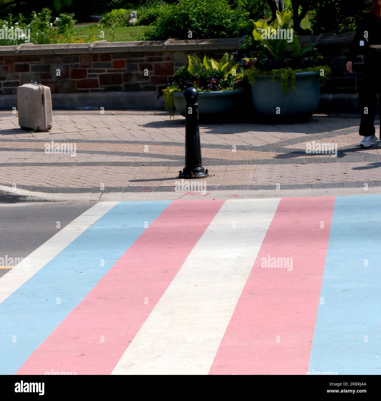 Trans Pride Flag Crosswalk auf der City Street Stockfoto