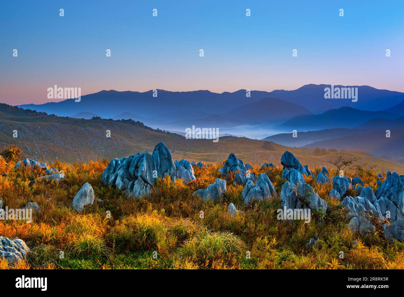 Akiyoshidai am Morgen Stockfoto