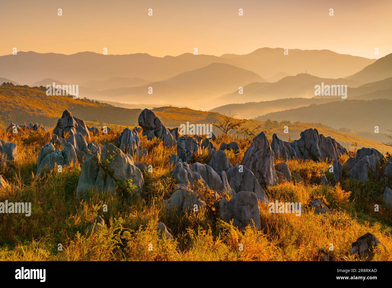 Akiyoshidai am Morgen Stockfoto